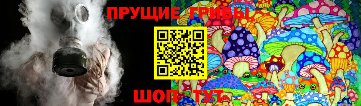 Кингисепп  Галлюциногенные грибы MAGIC MUSHROOMS  Вход с VPN 