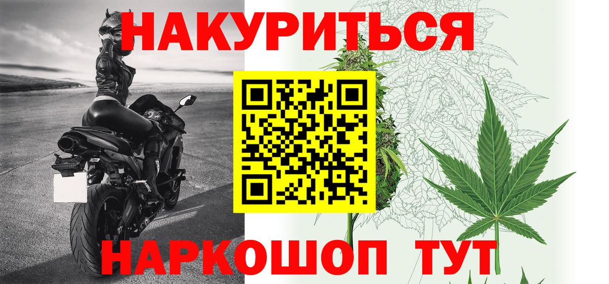 МАРИХУАНА сатива Кингисепп